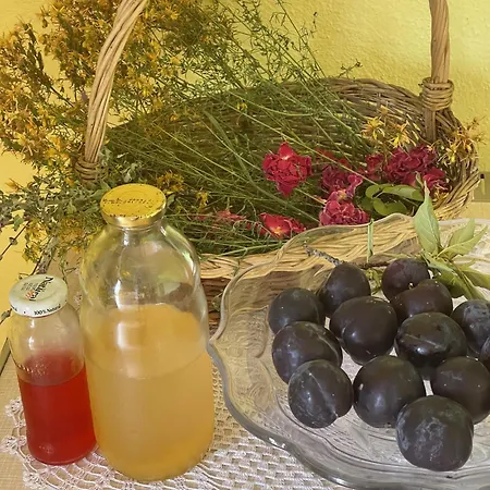 Alojamento de Turismo Selvagem The White House Eco Shkodër