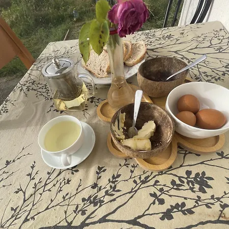 The White House Eco *