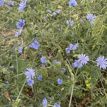 The White House Eco Lodge