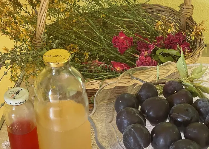 山林小屋 The White House Eco Shkodër